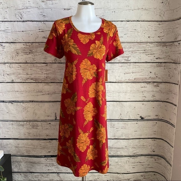 NWT Floral Fall LuLaRoe Carly dress - Picture 1 of 5